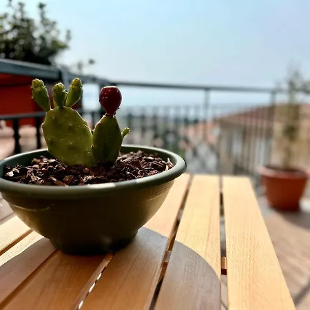 Amuka Santo Stefano di Camastra